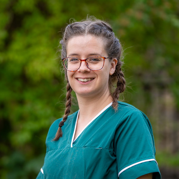 Sarah Prior - AVG (Web)